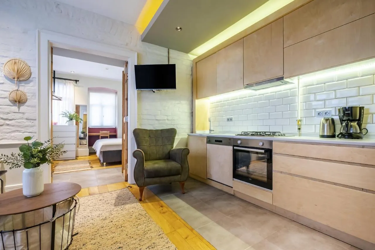 Dreamy And Central Flat In Beyoglu Istanbul Apartment